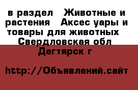  в раздел : Животные и растения » Аксесcуары и товары для животных . Свердловская обл.,Дегтярск г.